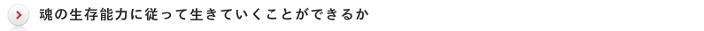 展覧会並みの舞台美術